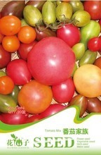 家種水果植物大全 品種選擇與種植指南