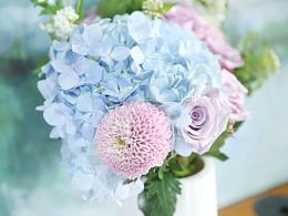 半朵鮮花與水果 靜物攝影中的生命律動